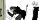 509_thumb.png