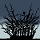 893_thumb.png